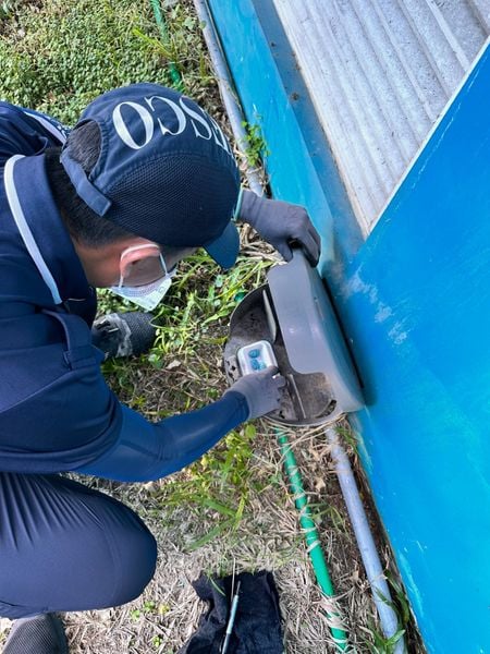 Báo giá dịch vụ diệt chuột doanh nghiệp chuyên nghiệp, hiệu quả, có bảo hành