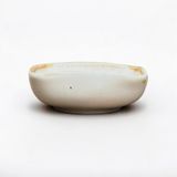  Gia vị vuông nhỏ - D06 