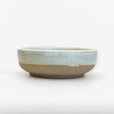  Gia vị trụ - D08 