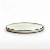  Đĩa phẳng gờ đứng - D20 