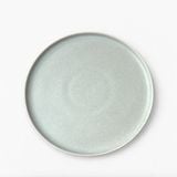  Đĩa phẳng gờ đứng - D22 