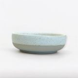  Gia vị trụ - D08 
