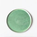  Đĩa phẳng gờ đứng - D22 