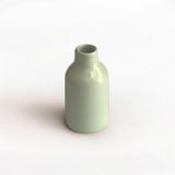  Lọ mini các dáng Light Avocado 