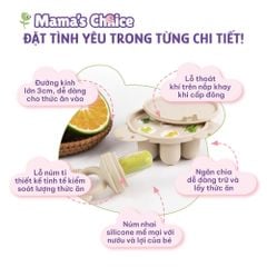 Túi Nhai Ăn Dặm Mama's Choice Cho Bé, Núm Nhai Hoa Quả Chống Hóc, Tặng Kèm 3 Size Núm Phù Hợp Bé Từ 4 Tháng Tuổi
