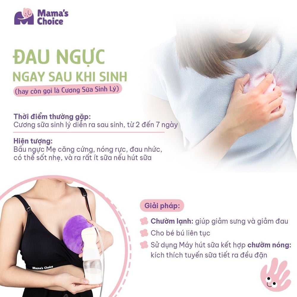 Túi Chườm Ngực Mama's Choice, Chườm Nóng Lạnh Giúp Mẹ Thông Tắc Tia Sữa, Kích Sữa, Giảm Đau Ti Hiệu Quả, Hộp 2 Túi