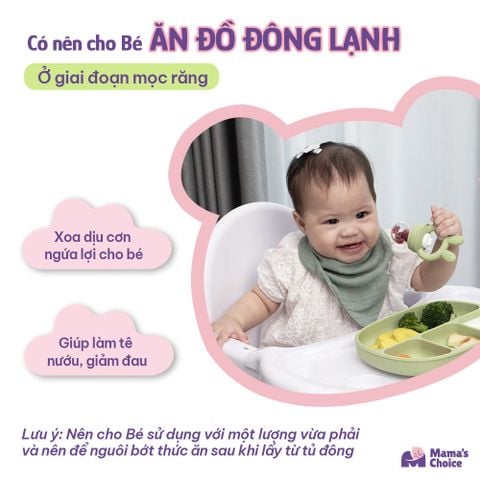 Khay Trữ Đông Mini Mama's Choice, Bảo Quản Đồ Ăn Dặm Thức Ăn Cho Bé, Nắp Đậy Chắc Chắn, Chất Liệu Silicone Bạch Kim
