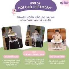 Ghế Ăn Dặm Mama's Choice, Ghế Cho Bé Tập Ăn Dặm, Kiểu Dáng Chắc Chắn Dễ Tháo Lắp và Vệ Sinh