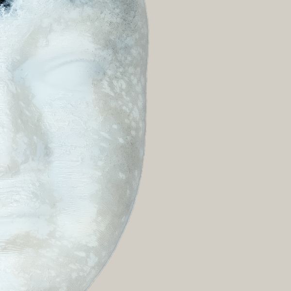 Echo of a Gaze / by DEX LE