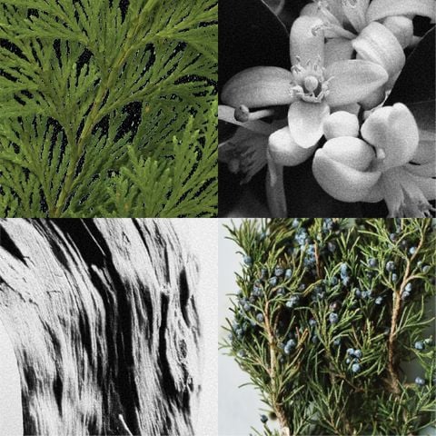 HINOKI / SCENTED OIL FOR PAINTING