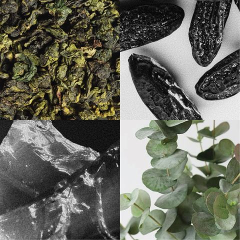 OOLONG TEA / SCENTED OIL FOR PAINTING