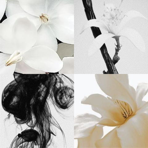 WATER JASMINE / SCENTED OIL FOR PAINTING