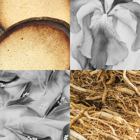 WHITE MUSK / SCENTED OIL FOR PAINTING