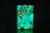 Zippo Sơn Dạ Quang Chủ Đề Khu Rừng Bí Mật ZN51