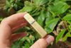 Zippo hoa văn khảm trai ZN169
