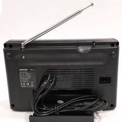 Đài nghe FM Raido Daicat DS-10