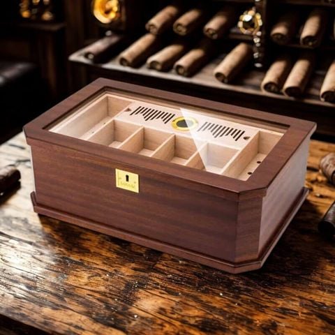 Hộp bảo quản 90 diếu Lubinski YJA 60040