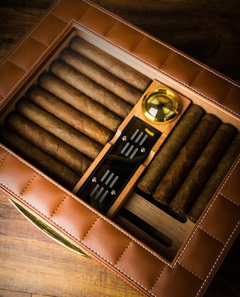 Hộp bảo quản Lubinski YJA 60011