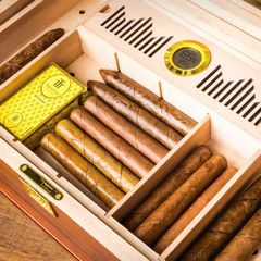 Hộp bảo quản 90 diếu Lubinski YJA 60040