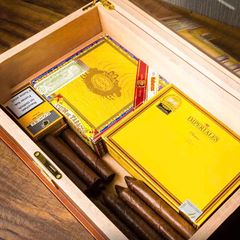 Hộp bảo quản 90 diếu Lubinski YJA 60040