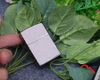 Zippo dán Emblem hình rồng ZN116