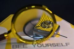 Set Zippo Ốp Emblem Ong Mật Chủ Đề Bee Yourself  ZN383