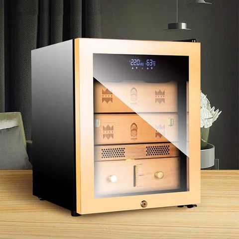 Tủ bảo quản cigar 150-200 điếu Lubinski RA 999
