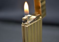 Dupont bọc vàng 2 lỗ cao DPH109