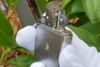 Zippo Chính Hãng USA ZK107