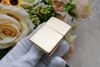 Zippo ốp Emblem Hình Chuột ZN219