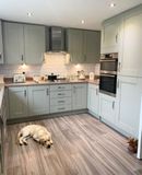  Sage Green Shaker 