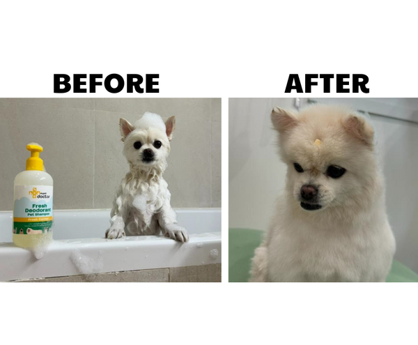 Dầu tắm khử mùi - Mypet Doctor Fresh Deodorant Pet Shampoo