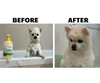 Dầu tắm khử mùi - Mypet Doctor Fresh Deodorant Pet Shampoo