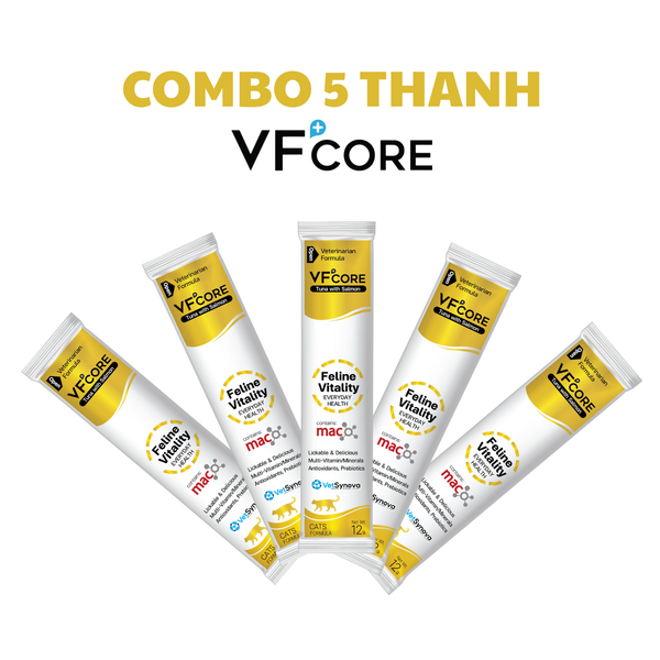Súp thưởng chức năng VF+Core Feline Vitality