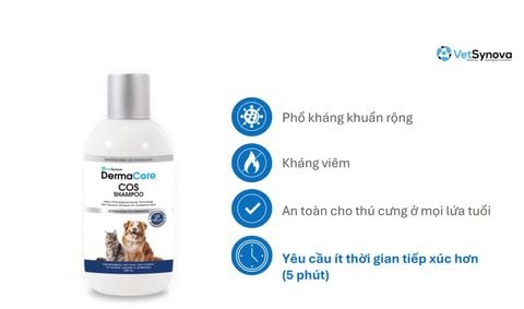 Dầu tắm hỗ trợ viêm, nấm da - DermaCore COS SHAMPOO (Chai 250ml)