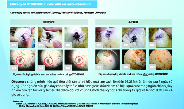 Dung dịch vệ sinh tai - OTOSENSE Spray