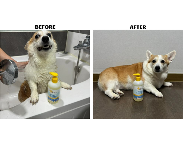 Dầu tắm khử mùi - Mypet Doctor Fresh Deodorant Pet Shampoo