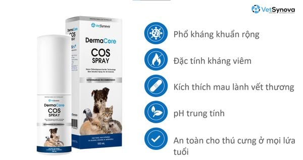 Xịt khử mùi, chăm sóc vết thương - DermaCore COS SPRAY