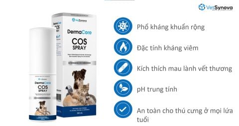 Dung dịch khử mùi, chăm sóc vết thương - DermaCore COS SPRAY