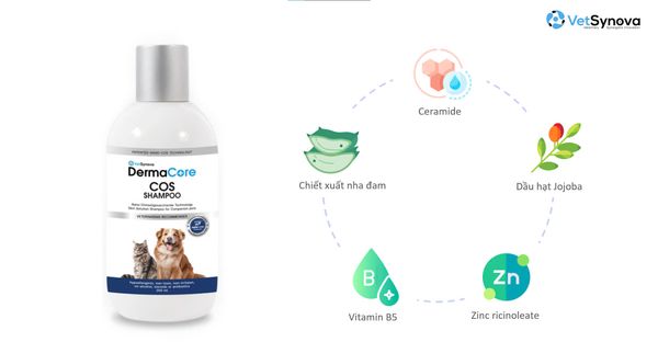 Dầu tắm hỗ trợ viêm, nấm da - DermaCore COS SHAMPOO (Chai 250ml)