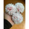 Đầu Bông Hoa Cúc PingPong -  Làm Tháp Tài Lộc, Tháp Nước - Trang Trí Tết