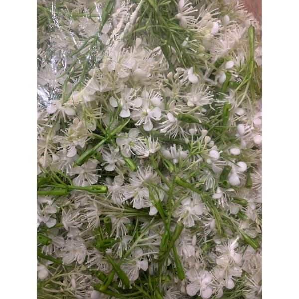 100g hoa baby - hoa nhí - cỏ điểm trang trí hộp quà , bó hoa tươi - hoa sáp