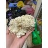 Bó 320 Nhuỵ Hoa Giả Làm Hoa Handmade, Trang Trí Tiệc Cưới, Trang Trí Nhà Cửa
