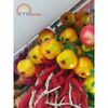 DÂY HÀNH, TỎI, ỚT,HOA QUẢ TREO TRANG TRÍ - GIỐNG NHƯ THẬT 99%