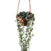 (Loại Dày) Chậu trồng hoa - Giỏ treo hình bát giác, Chậu hoa nhựa - Decor Trang trí nhà cửa