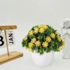Hoa giả - Chậu hoa baby tròn nhỏ để bàn - Decor trang trí siêu xinh