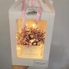 Đèn led dây trang trí dùng pin, đèn led đom đóm fairy light decor, trang trí cực đẹp