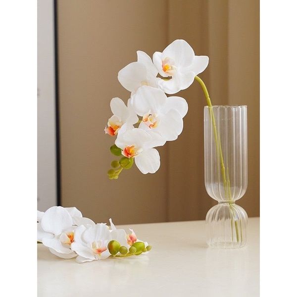 Cành hoa lan hồ điệp 5 bông cao su - decor trang trí tuyệt đẹp và cực sang