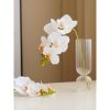 Cành hoa lan hồ điệp 5 bông cao su - decor trang trí tuyệt đẹp và cực sang