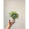 Hoa giả - Chậu hoa tú cầu để bàn, decor trang nhà nhà cửa cực đẹp